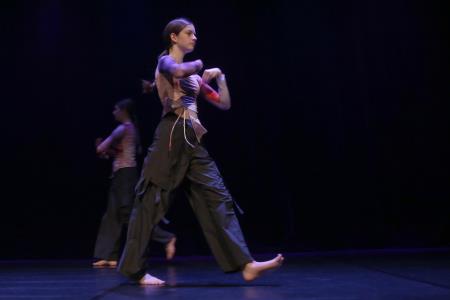 PLESNO POPOTOVANJE 09 FOTO LJUBO VUKELIČ